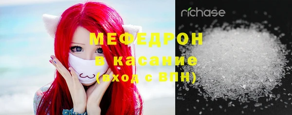 шишки Абаза