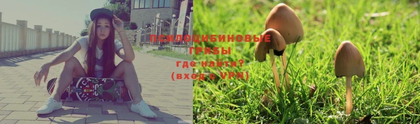 трава Абинск