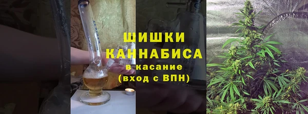 шишки Абаза